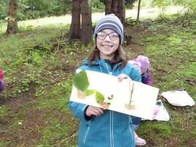 Ab durch die Hecke - 2. Kl. (13)