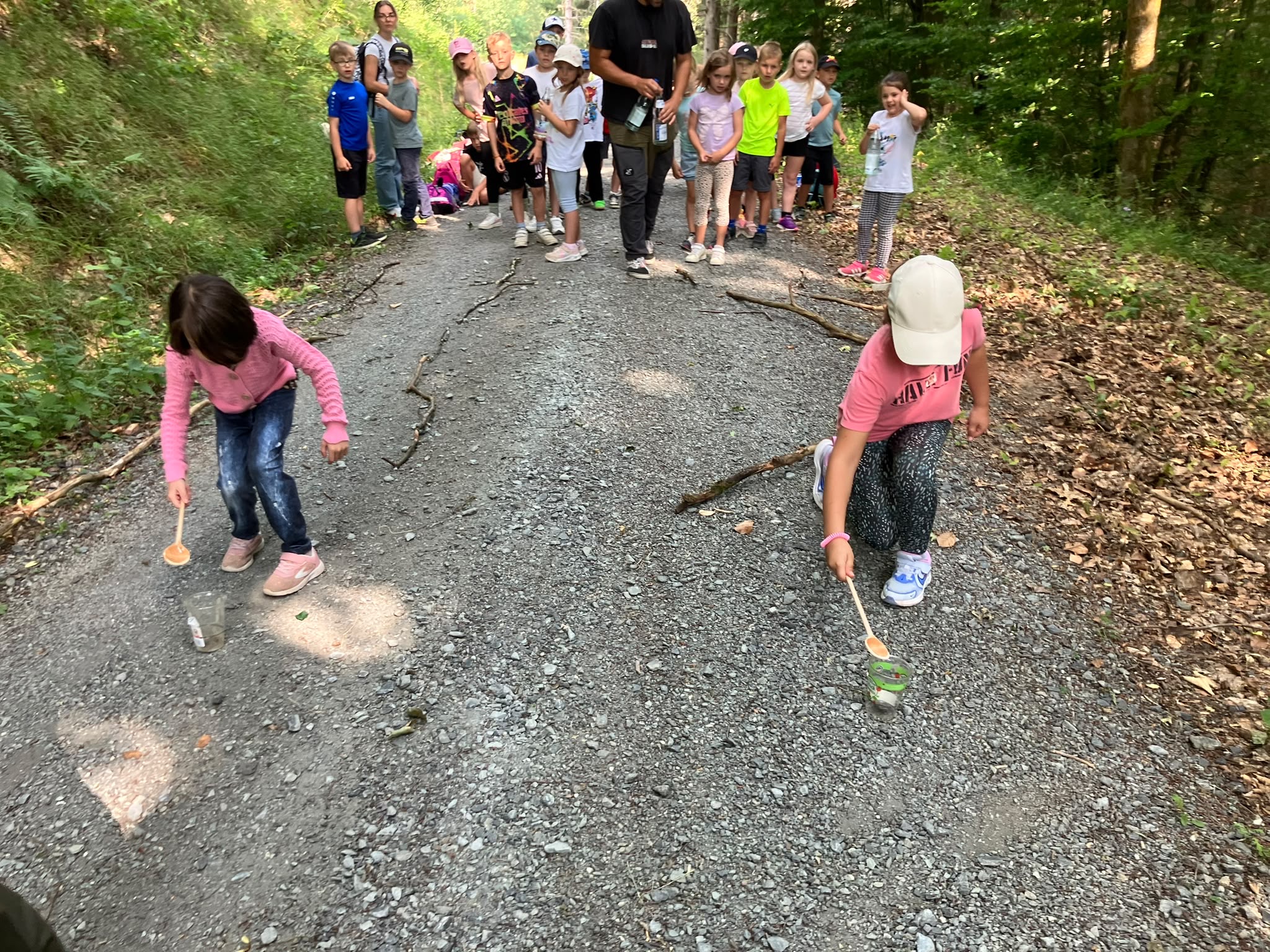 Waldtag -11-.JPG