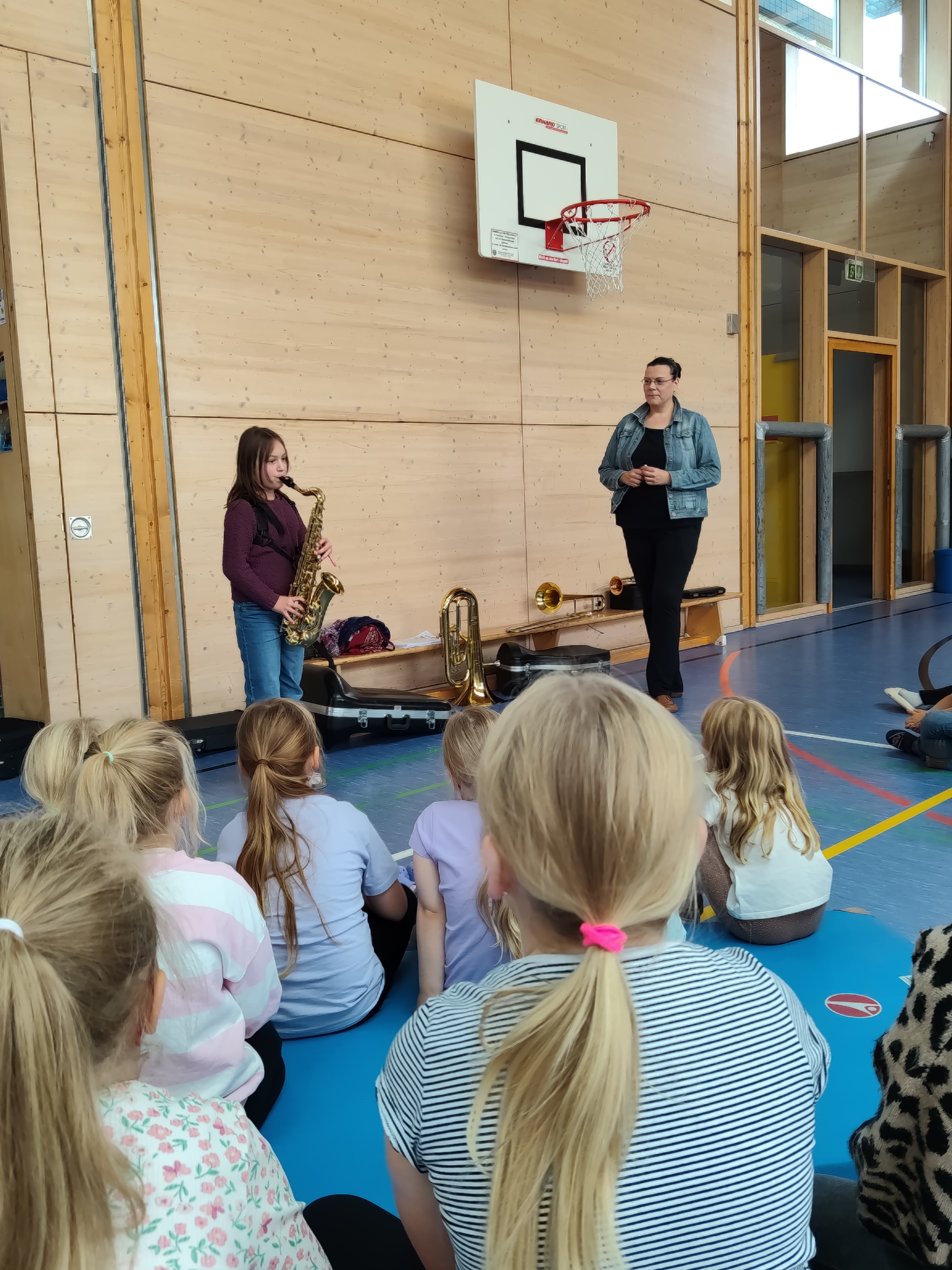 Instrumentenvorstellung -1-.jpg