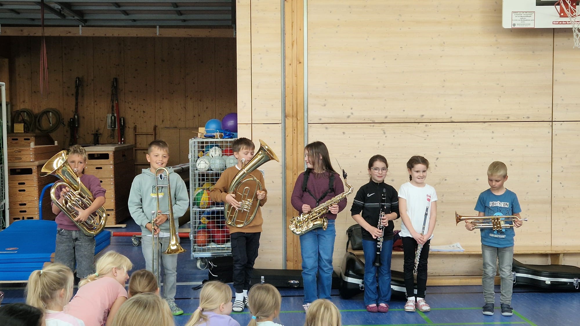 Instrumentenvorstellung -6-.jpg