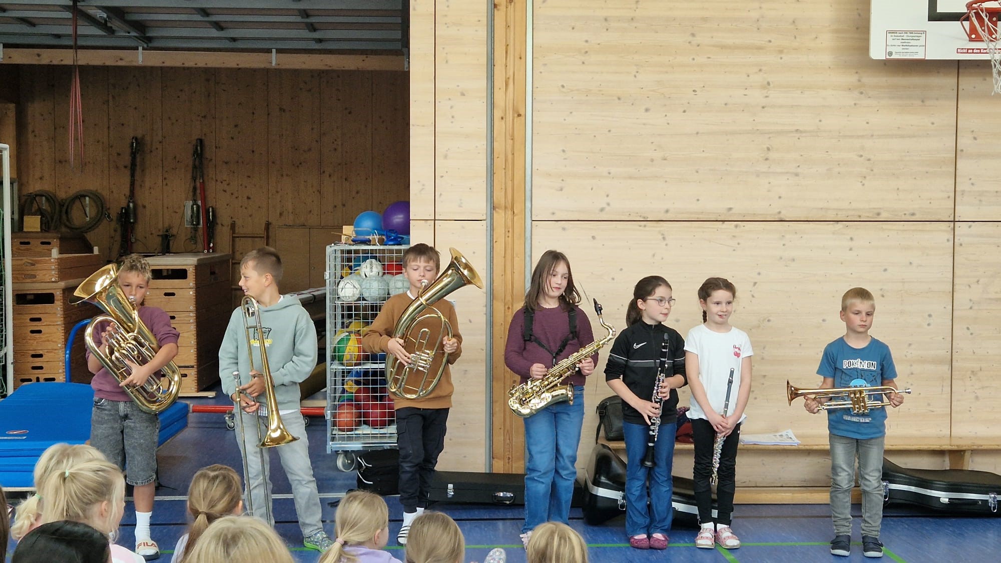 Instrumentenvorstellung -7-.jpg