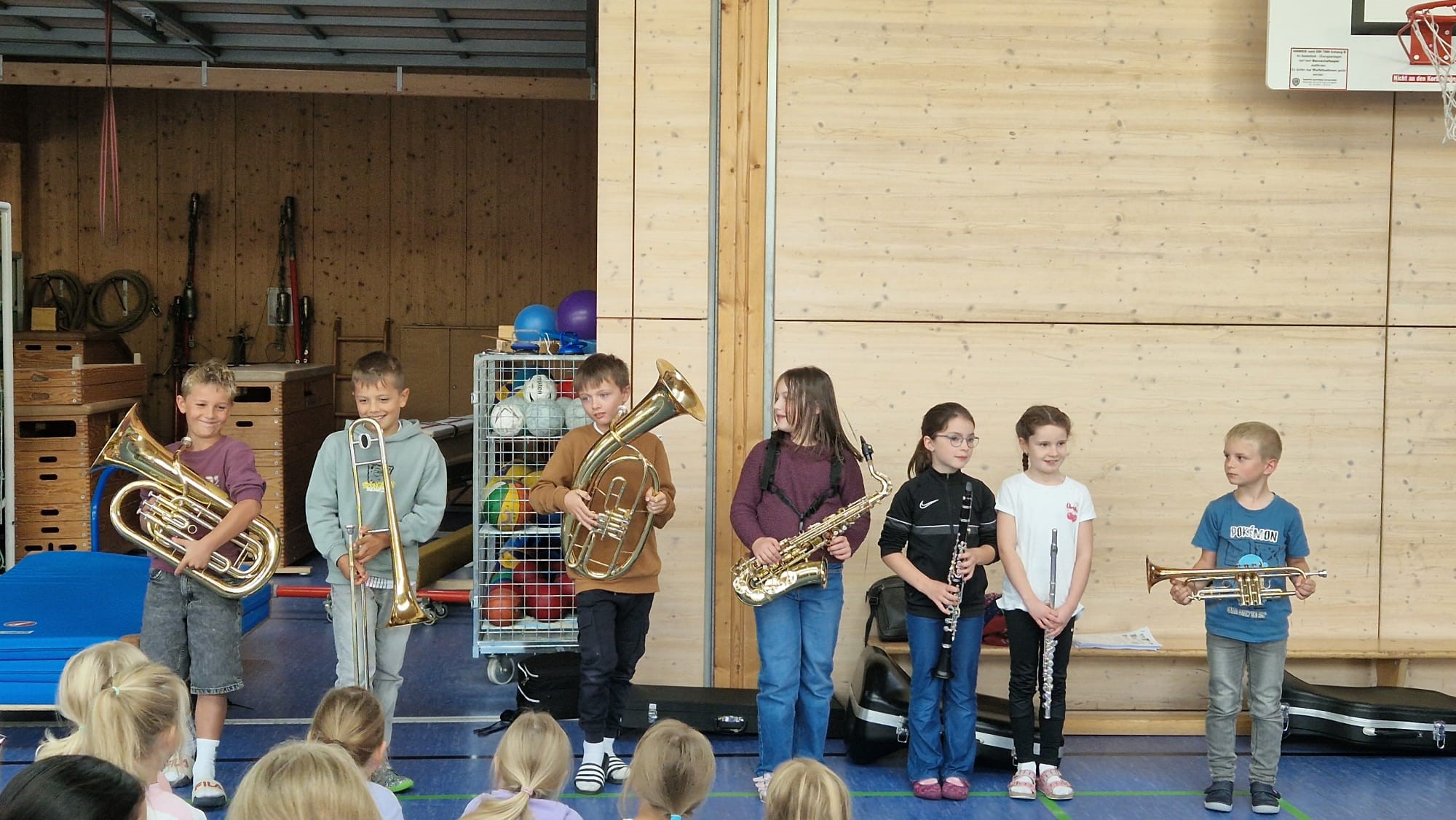 Instrumentenvorstellung -8-.jpg