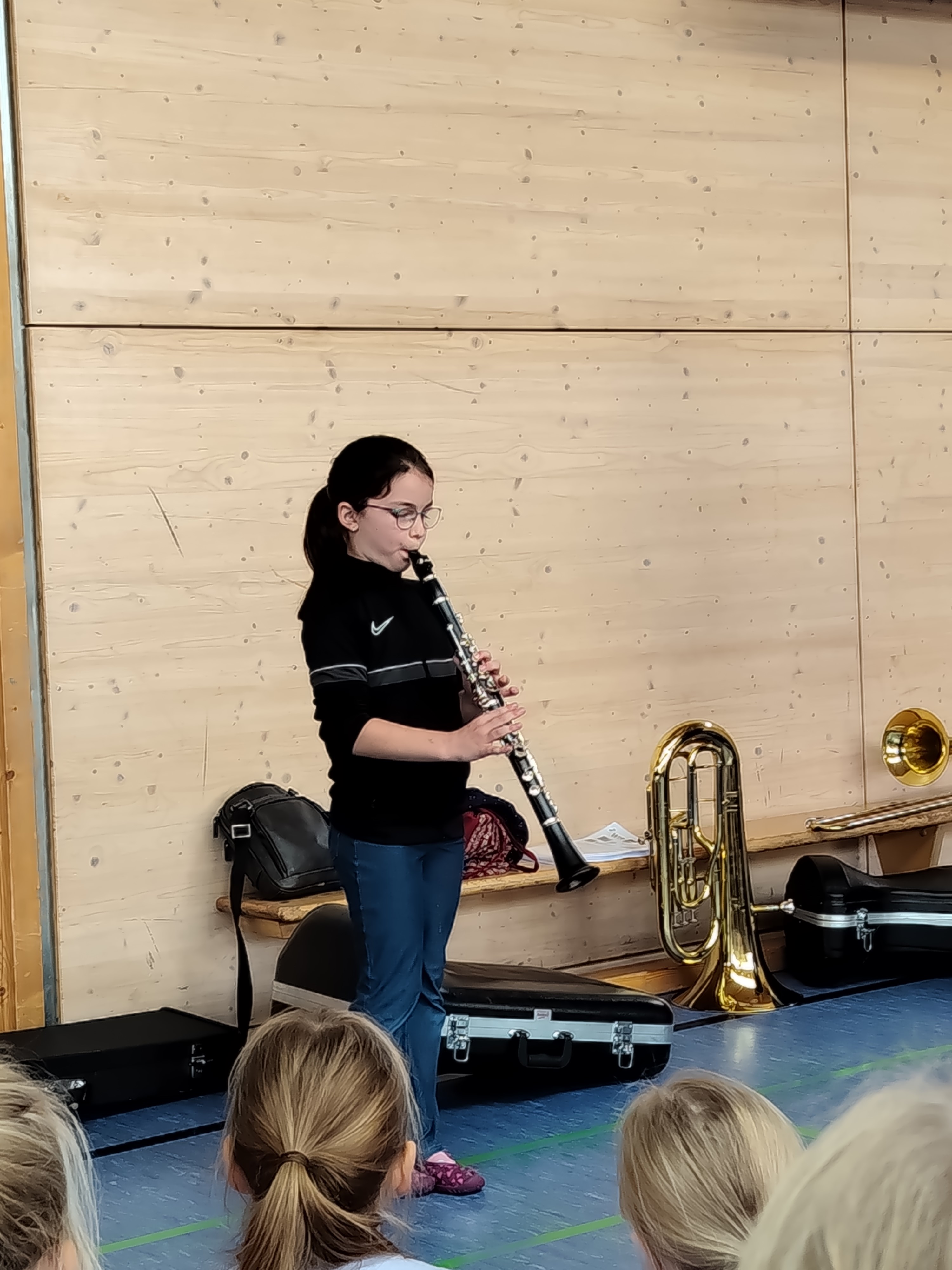 Instrumentenvorstellung -12-.jpg